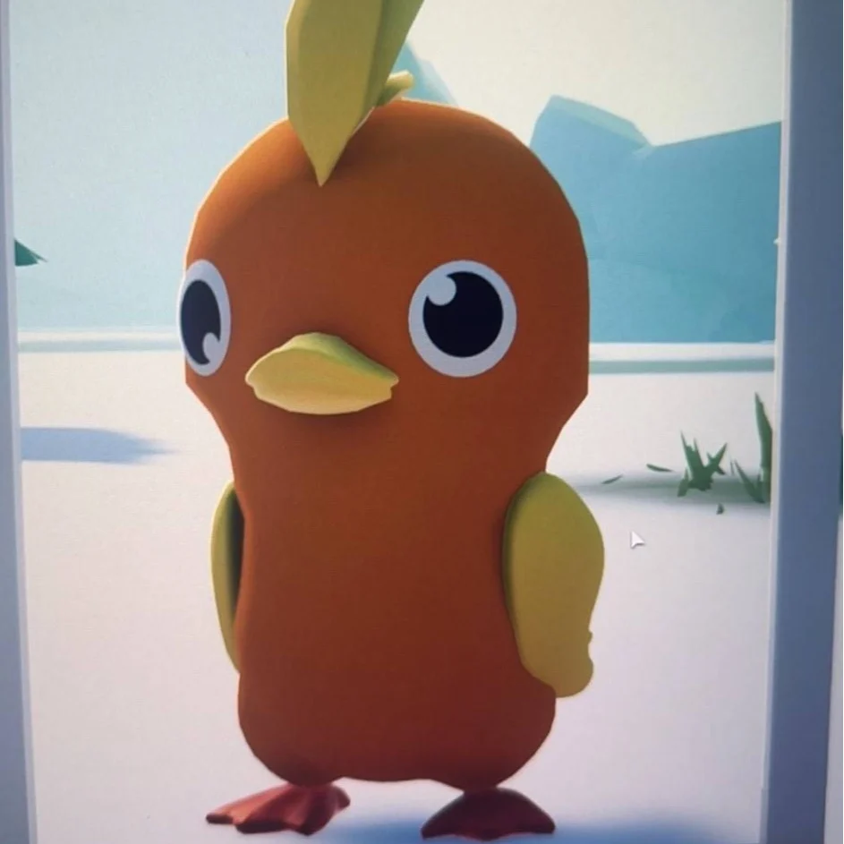 Torchic