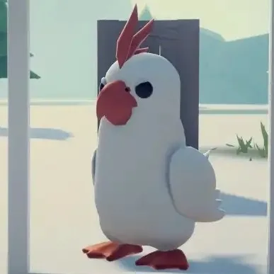 White-feathered chicken